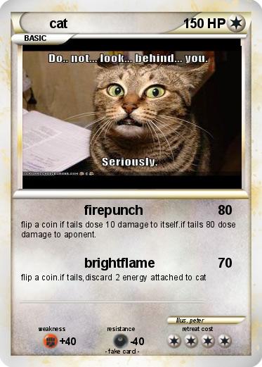Pokemon cat