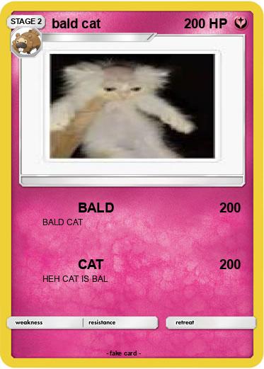 Pokemon bald cat