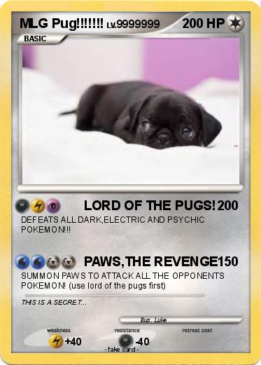 Pokemon MLG Pug!!!!!!!