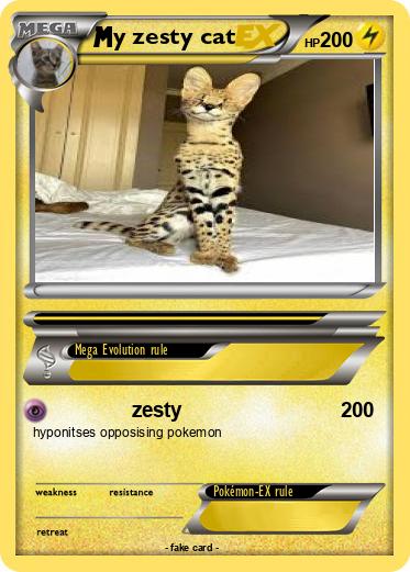 Pokemon y zesty cat
