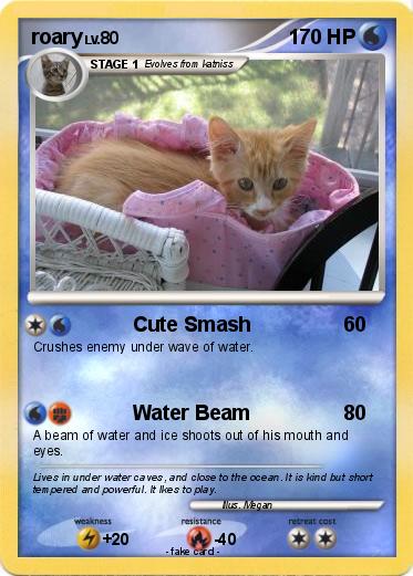 Pokemon roary