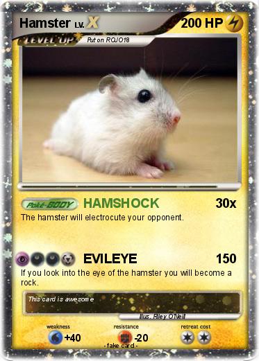 Pokemon Hamster