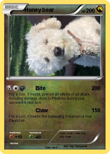 Pokemon Honey bear