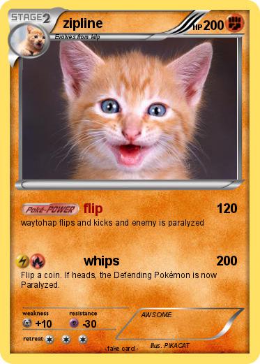 Pokemon zipline