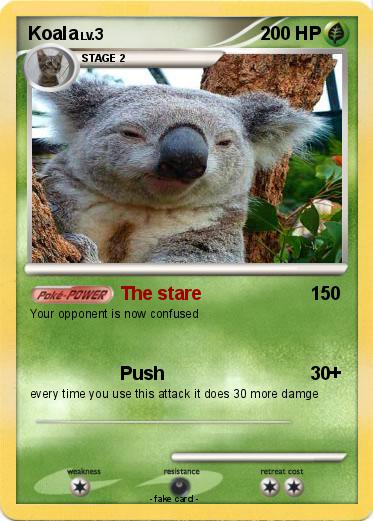 Pokemon Koala