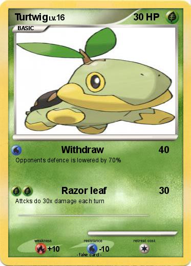 Pokemon Turtwig