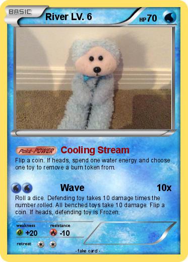 Pokemon River LV. 6