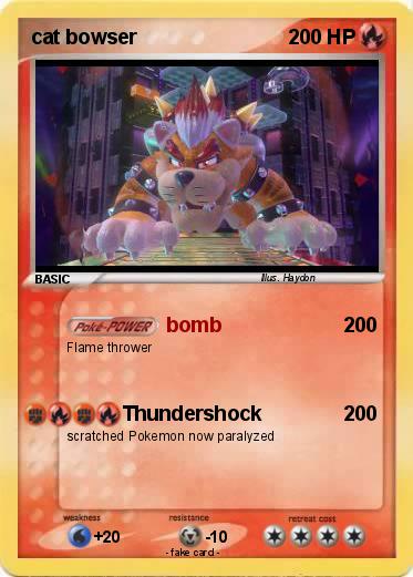 Pokemon cat bowser