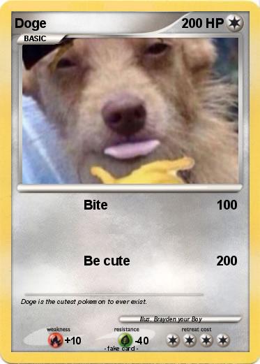 Pokemon Doge