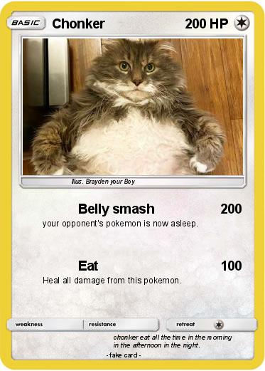 Pokemon Chonker
