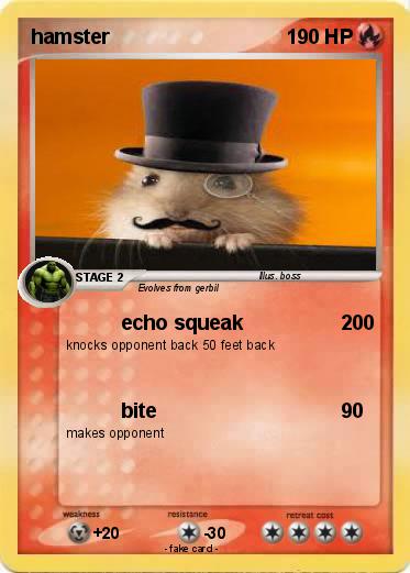 Pokemon hamster