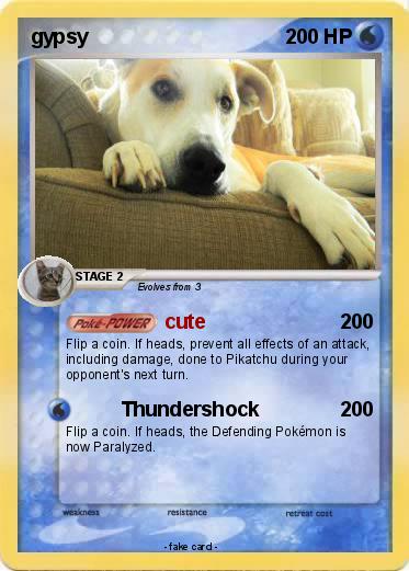 Pokemon gypsy
