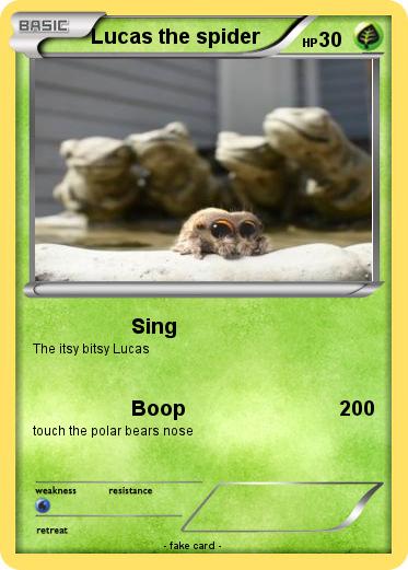 Pokemon Lucas the spider