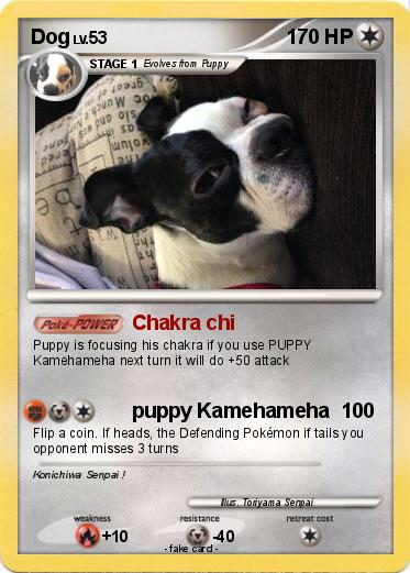 Pokemon Dog