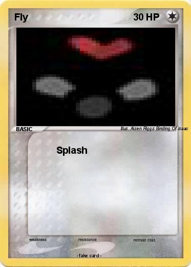 Pokemon Fly