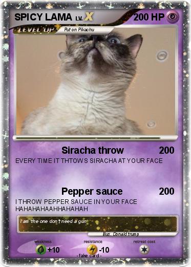 Pokemon SPICY LAMA