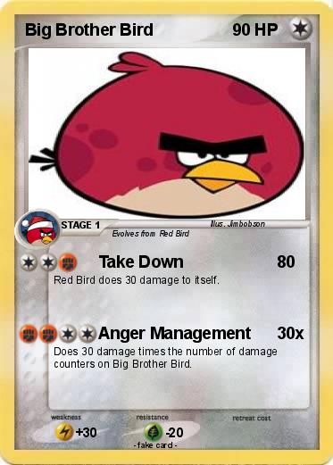 Pokemon Big Brother Bird