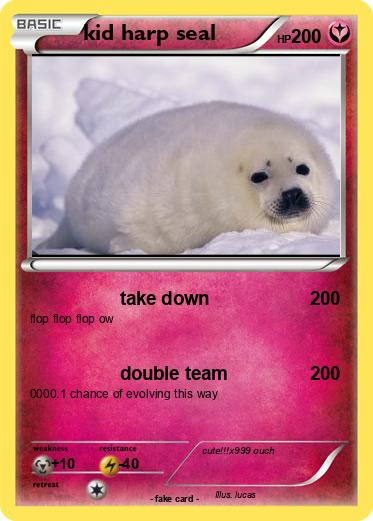 Pokemon kid harp seal
