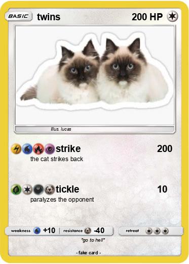 Pokemon twins