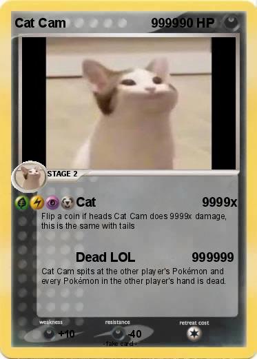 Pokemon Cat Cam                        9999