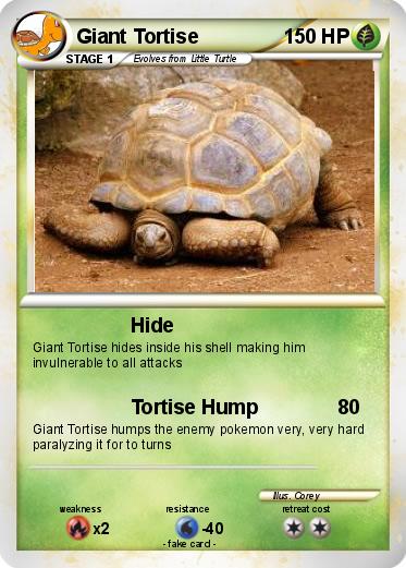 Pokemon Giant Tortise