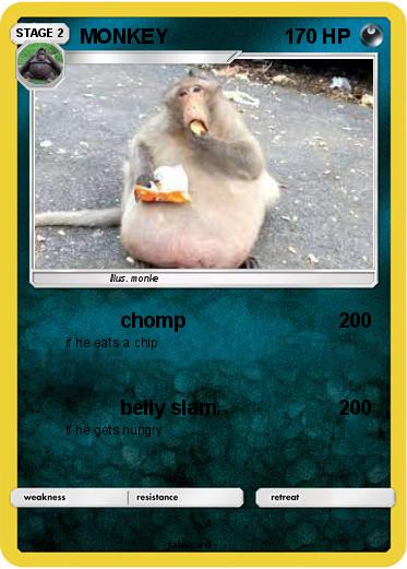 Pokemon MONKEY