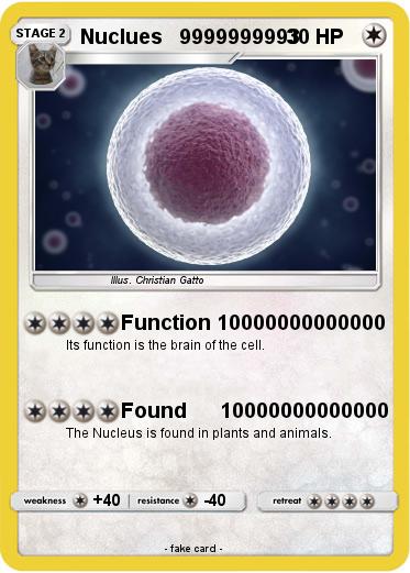 Pokemon Nuclues   9999999993