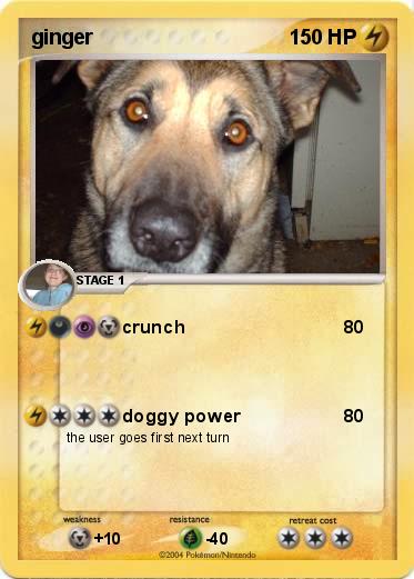 Pokemon ginger