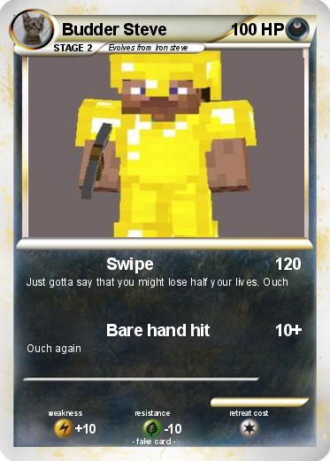 Pokemon Budder Steve