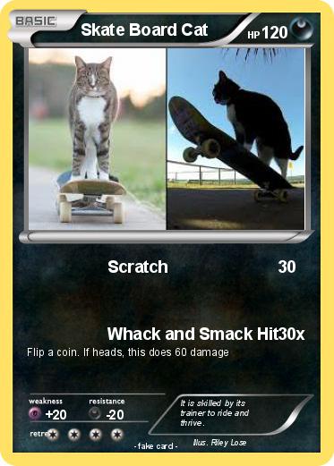Pokemon Skate Board Cat