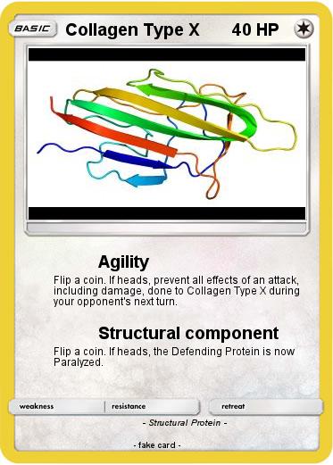 Pokemon Collagen Type X