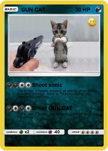 Pokemon GUN CAT