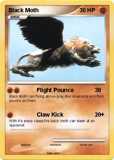Pokemon Black Moth