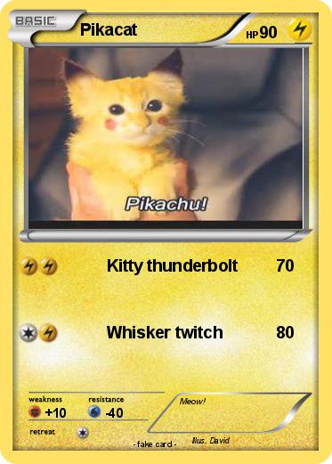 Pokemon Pikacat