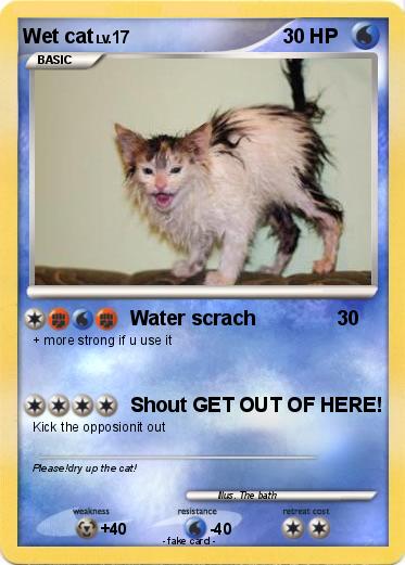 Pokemon Wet cat