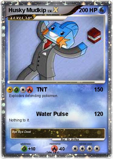 Pokemon Husky Mudkip
