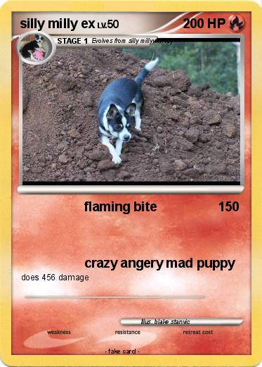 Pokemon silly milly ex