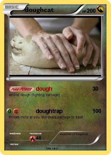 Pokemon doughcat