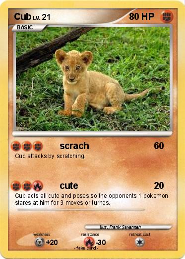 Pokemon Cub