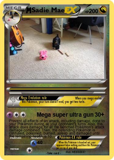 Pokemon Sadie Mae