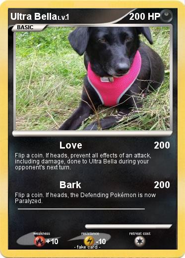 Pokemon Ultra Bella