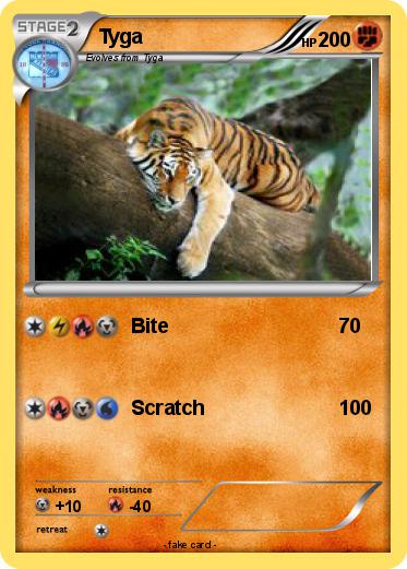 Pokemon Tyga