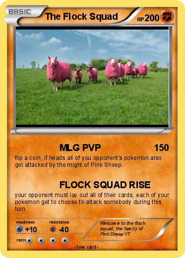 Pokemon The Flock Squad