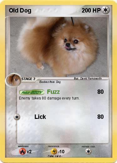 Pokemon Old Dog