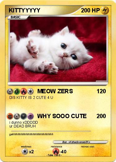 Pokemon KITTYYYYY