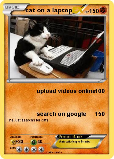 Pokemon cat on a laptop