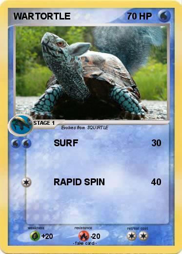 Pokemon WARTORTLE