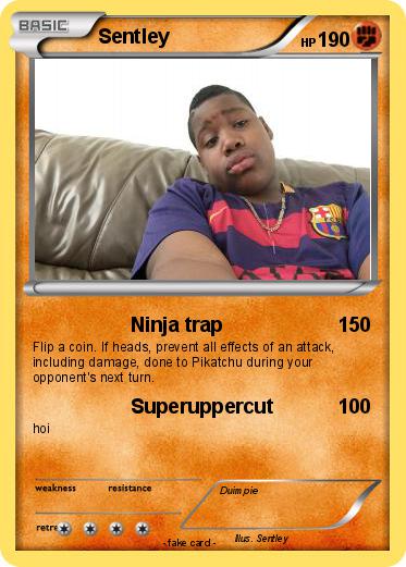 Pokemon Sentley