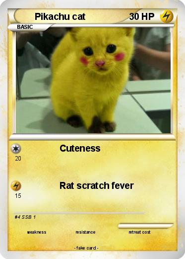 Pokemon Pikachu cat
