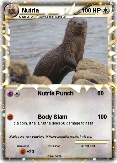 Pokemon Nutria